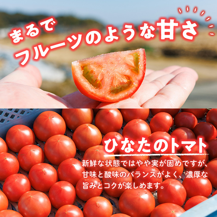 門川ひなたのトマト(800g×2箱) 高糖度 トマト フルーツトマト 野菜 旬野菜 冷蔵 門川町産 宮崎県 門川町 【TM-02】【宮崎県農業協同組合日向地区本部(門川選果場)】