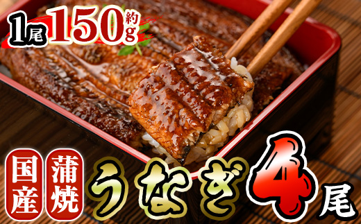 国産 うなぎ 蒲焼 (約150g×4尾) 鰻 タレ かば焼き うな重 うな丼 ひつまぶし 小分け 真空包装 真空パック 【AW-94】【丸正水産】