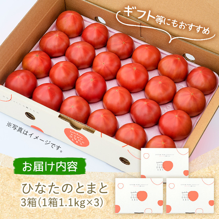 ＜先行予約受付中！2026年2月から順次発送予定＞ひなたのとまと(計3.3kg・1.1kg×3箱)トマト フルーツトマト 糖度 9度 以上 野菜 旬野菜 冷蔵 門川町産【A-5】【新門トマト農園】
