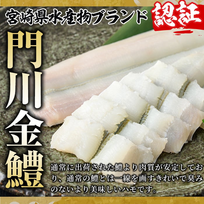 門川金鱧(計1.5kg)骨切り済 ハモ 小分け 冷凍 魚介類 鍋 丼 国産 宮崎県 門川町【O-1】【門川漁業協同組合】
