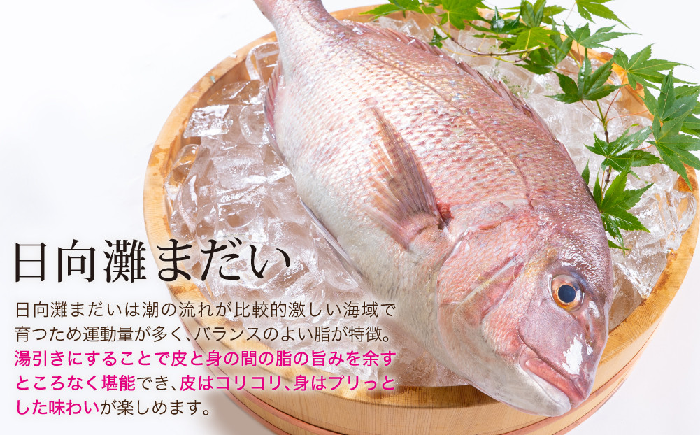 【北海道・離島配送不可】新鮮！お手軽！真鯛湯引きのお刺身(1尾分：約500〜600g)お刺し身 しゃぶしゃぶ 魚介 海鮮 まだい マダイ 真空パック【UZ-06】【請関水産】