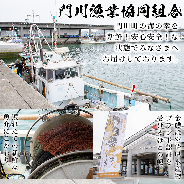 門川金鱧(計1.5kg)骨切り済 ハモ 小分け 冷凍 魚介類 鍋 丼 国産 宮崎県 門川町【O-1】【門川漁業協同組合】