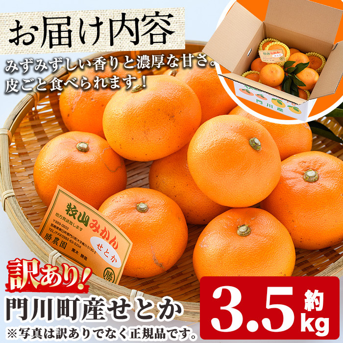 ＜訳あり！＞宮崎県門川町産せとか(約3.5kg)柑橘 果物 数量限定 期間限定 国産 フルーツ 常温保存 遠見半島 宮崎県 門川町【AE-24】【勝農園】