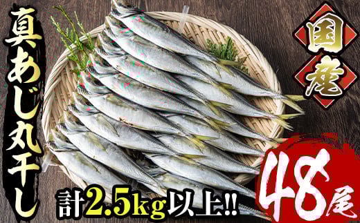 国産真あじ丸干し(計48尾・16尾×3箱：計2.5kg以上)干物 鯵 セット 魚 魚介類 簡単 調理 冷凍【E-21】【水永水産】