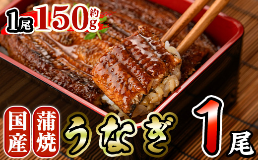 国産 うなぎ 蒲焼 (約150g×1尾) 鰻 タレ かば焼き うな重 うな丼 ひつまぶし 小分け 真空包装 真空パック 【AW-91】【丸正水産】