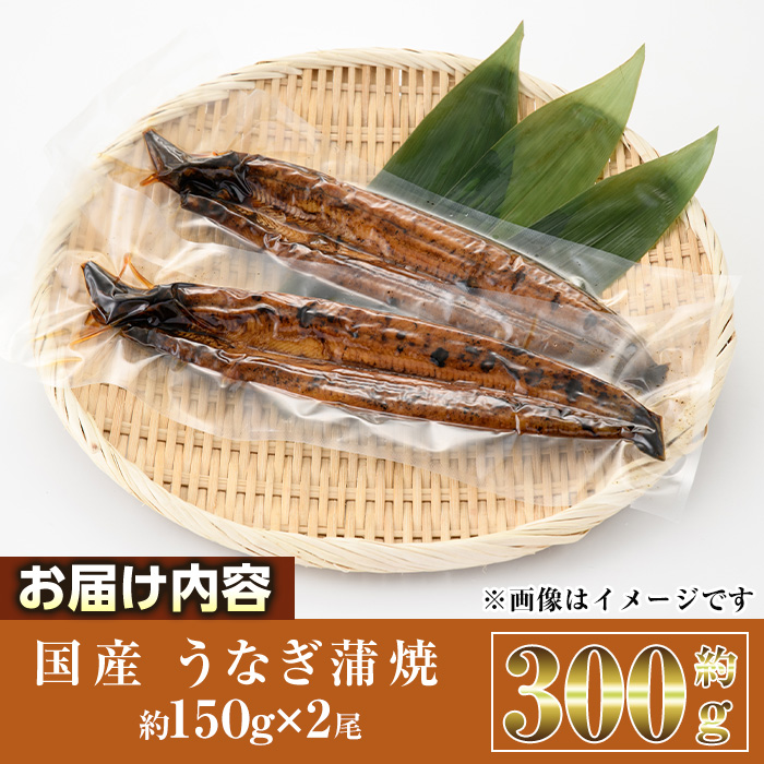 蝗ス逕」 縺縺ェ縺 闥イ辟シ (邏150gテ2蟆セ) 魏サ 繧ソ繝ャ 縺九ー辟シ縺 縺縺ェ驥 縺縺ェ荳シ 縺イ縺、縺セ縺カ縺 蟆丞縺 逵溽ゥコ蛹陬 逵溽ゥコ繝代ャ繧ッ 縲植W-92縲代蝉クク豁」豌エ逕」縲