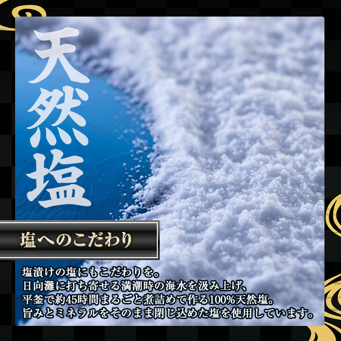 塩麹 挬ã ãããã¿(100gÃ1å) ã«ã©ã¹ã éåµ å·èµ çå³ ã€ãŸã¿ å墚 çå³ é
ã®èŽ ãã© ãŒã å®®åŽç éå·çºãMI-03ããéåé£åã