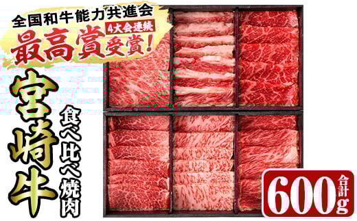 ＜先行予約受付中！2026年2月から順次発送予定＞＜宮崎牛・3D冷凍＞6部位食べ比べ焼肉(合計600g)牛肉 肉 ロース バラ モモ ヒレ ウデ セット 黒毛和牛 BBQ 国産 冷凍 宮崎県 門川町【R-27】【株式会社ミヤチク】