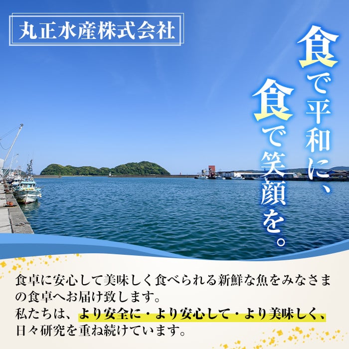 ＜訳あり＞国産特大あじの開き(計6枚) ひもの 魚 さかな 鯵 アジ おかず 肴 おつまみ 簡単 時短 おかず お弁当 国産 冷凍【丸正水産】【AW-38】
