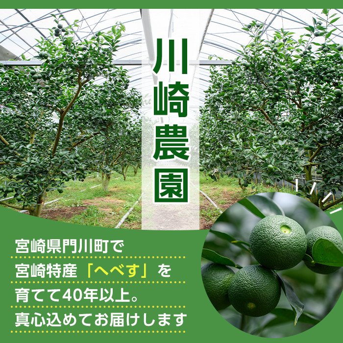 ＜先行予約受付中！2026年6～7月の間に発送予定＞期間限定！門川町産へべす(1kg)柑橘 果汁 国産 特産品 宮崎県 門川町【AM-1】【川崎農園】