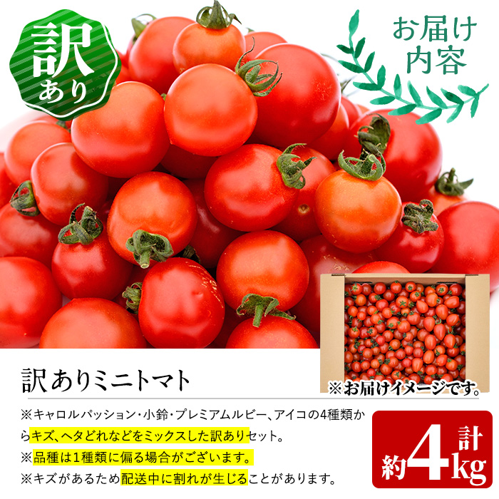 訳あり・規格外！数量限定の門川町産ミニトマト(計約4kg)フルーツトマト とまと 野菜 キャロルパッション 小鈴 プレミアムルビー アイコ ミックス 生 旬野菜 冷蔵【X-11】【いけとも農園】