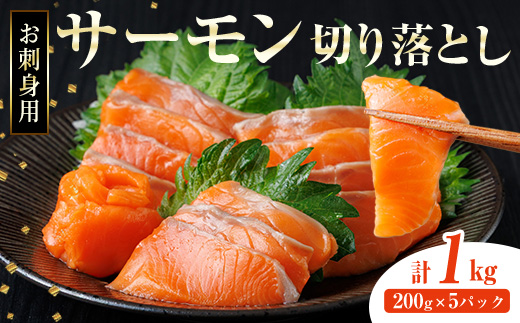 お刺身用 サーモン切り落とし (計1kg) 鮭 小分け 真空 パック 冷凍 刺身 シャケ サケ 魚 魚介 漬け丼 海鮮丼 【AW-116】【丸正水産】
