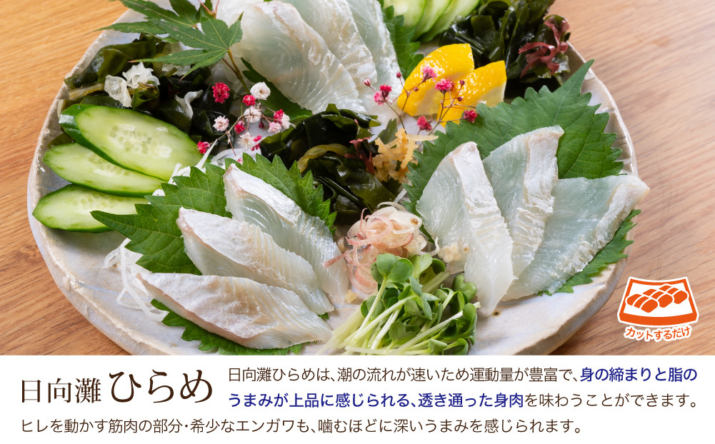 【北海道・離島配送不可】新鮮！ヒラメとしまあじのお刺身セット(合計約600〜800g)お刺し身 魚介 海鮮 ひらめ ヒラメ シマアジ 詰め合わせ 詰合せ 真空パック【UZ-08】【請関水産】