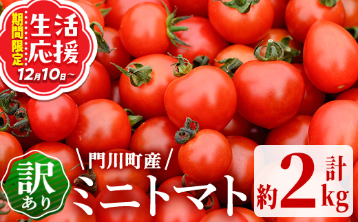 訳あり 規格外 数量限定 門川町産 ミニトマト(計2kg)  訳あり 規格外 数量限定 門川町産 ミニトマト 期間限定 生活応援 とまと 野菜 ミックス 生 旬野菜 冷蔵 【X-9】【いけとも農園】