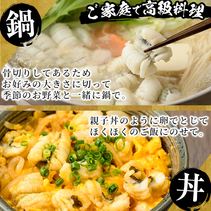 門川金鱧(計750g)骨切り済 ハモ 小分け 冷凍 魚介類 鍋 丼 国産 宮崎県 門川町【O-3】【門川漁業協同組合】