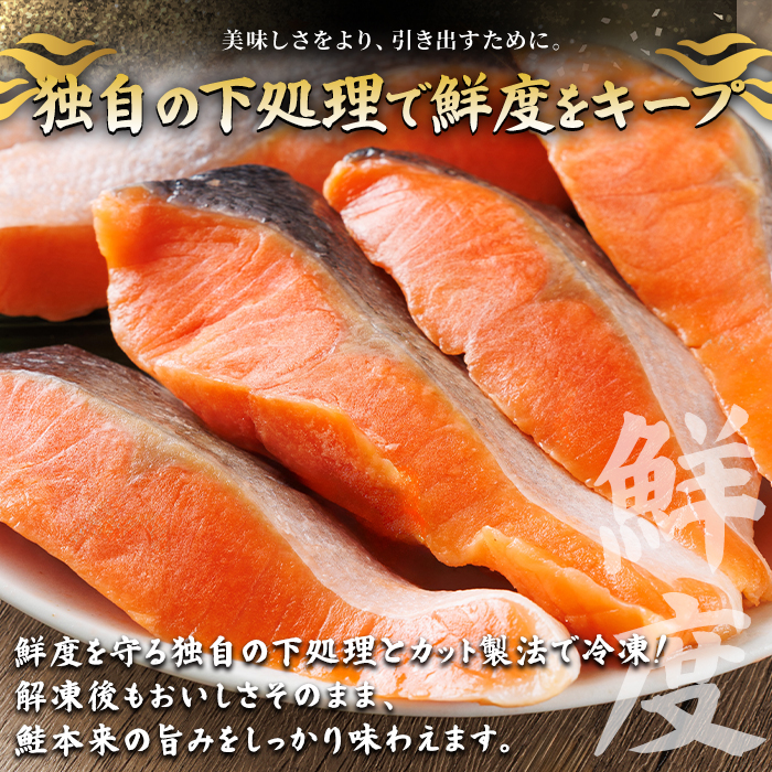 鬪ィ蜿悶j魄ュ蛻繧願コォ(2kg) 魄ュ 蜀キ蜃 繧キ繝」繧ア 繧オ繧ア 鬲 鬲壻サ 鬪ィ蜿悶j 蟄蝉セ帙植W-109縲代蝉クク豁」豌エ逕」縲