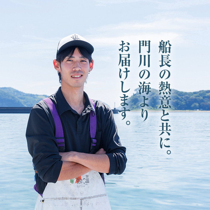 【北海道・離島配送不可】漁師直送！朝獲れ 季節の 鮮魚 詰め合わせ (並) (合計2kg以上・3～5種) 下処理済み 大衆魚 高級魚 未利用魚 冷蔵 BOX ボックス イカ 鯛 海鮮 魚介 食べ比べ 詰合せ 宮崎県産 【O-10】【門川漁業協同組合】