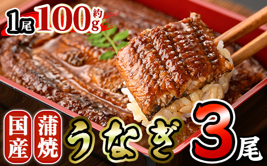 国産 うなぎ 蒲焼 (約100g×3尾) 鰻 タレ かば焼き うな重 うな丼 ひつまぶし 小分け 真空包装 真空パック 【AW-95】【丸正水産】