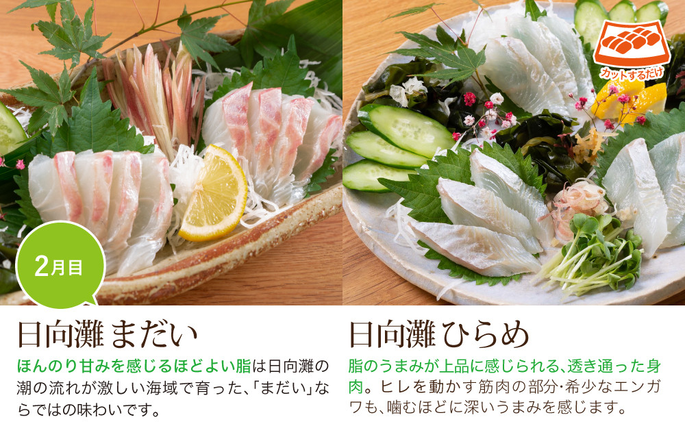 【北海道・離島配送不可】＜定期便・全3回(連続)＞旬の鮮魚(3ヶ月コース)ブリ かんぱち 真鯛 ヒラメ シマアジ サーモン 冷蔵 簡単調理 刺身 国産 お造り 柵 お楽しみ 切るだけ【UZ-02】【請関水産】