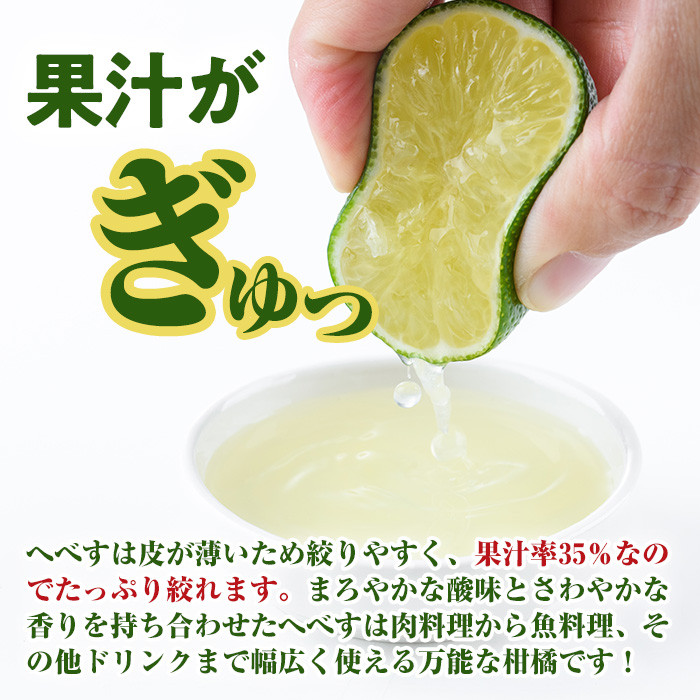 æééå® å®®åŽç¹ç£ãžã¹ã(1ã1.3kg) ãžã¹ã ææ© ææ± èŽççš åœç£ ç¹ç£å å®®åŽç éå·çº ãKT-10ããK.Tfarmã
