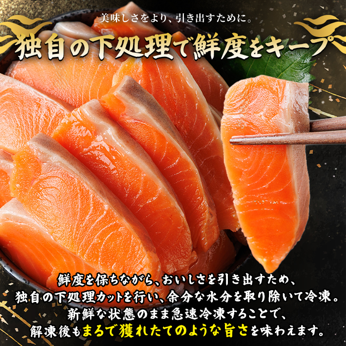 生食用 サーモン ブロック(計500g・250g×2P) 鮭 小分け 真空 パック 冷凍 刺身 シャケ サケ 魚 魚介 【AW-98】【丸正水産】