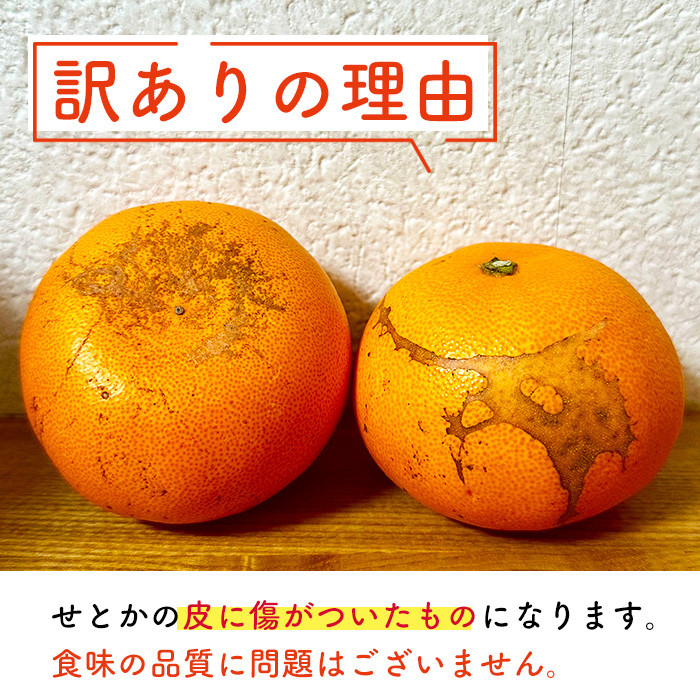 ＜訳あり！＞宮崎県門川町産せとか(約3.5kg)柑橘 果物 数量限定 期間限定 国産 フルーツ 常温保存 遠見半島 宮崎県 門川町【AE-24】【勝農園】