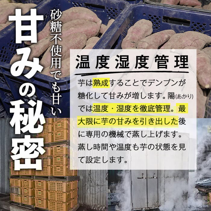 ＜数量限定＞冷凍焼き芋(安納芋)(計2kg・500g×4袋)冷凍 焼芋 焼き芋 やきいも さつまいも さつま芋 レンジ 食べ比べ 小分け おやつ 宮崎県 門川町【YO-3】【株式会社 陽】