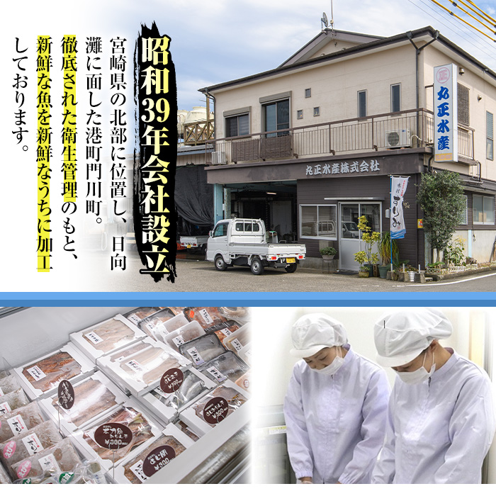 生食用 サーモン ブロック(計500g・250g×2P) 鮭 小分け 真空 パック 冷凍 刺身 シャケ サケ 魚 魚介 【AW-98】【丸正水産】