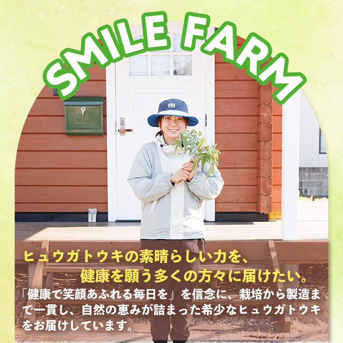 ひのき入り ヒュウガトウキ入浴剤(35g×2個入×1袋) 風呂 便利 簡単 生薬 ヒュウガトウキ 日本山人参 宮崎県産 国産【SF-05】【SMILE FARM】