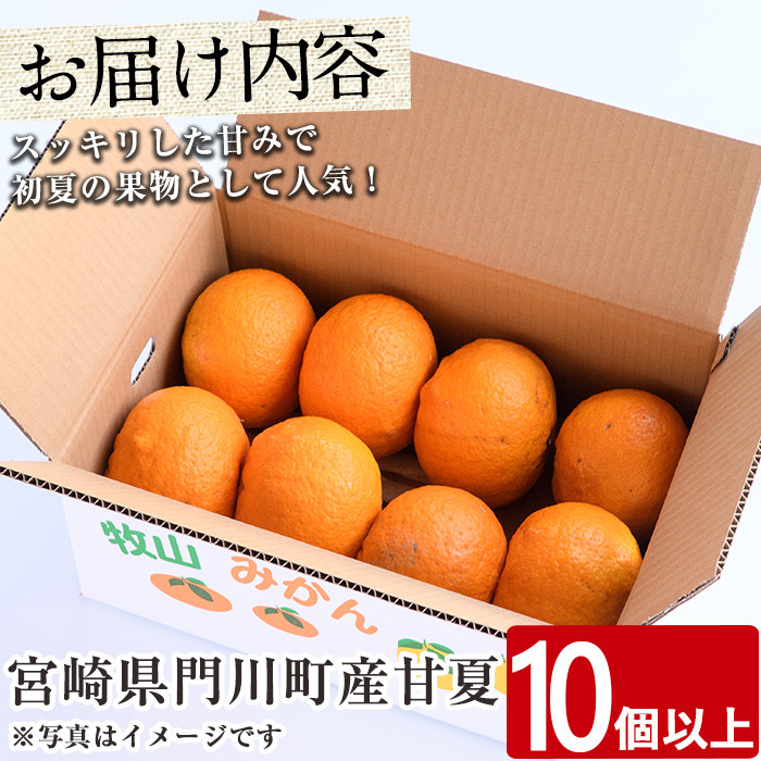 ïŒå
è¡äºçŽåä»äžïŒ2026幎3æäžæ¬ïœ5ææ«ã®éã«çºéäºå®ïŒå®®åŽçéå·çºç£çå€(10å以äž) ææ© æç© æ°ééå® æééå® åœç£ ãã«ãŒã åžžæž© ä¿å é èŠåå³¶ ãAE-21ããå蟲åã