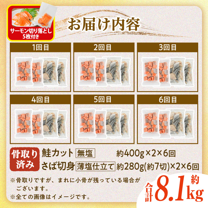 生活応援 サーモン切り落とし5枚付き！【定期便・全6回(連続)】骨取り さば切身と鮭カットのセット(総量約8.1kg) 鮭 小分け 冷凍 サーモン シャケ サケ サバ 鯖 骨なし 骨取り セット 魚 魚介 【AW-108】【丸正水産】