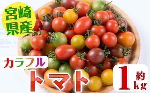 ＜先行予約受付中！2025年11月上旬から順次発送予定＞カラフルトマト食べ比べセット(約1kg) 国産 宮崎県産 とまと 野菜 サラダ 黄色 オレンジ みどり 紫 アイコ 赤 セレブスイート 【KT-9】【K.Tfarm】