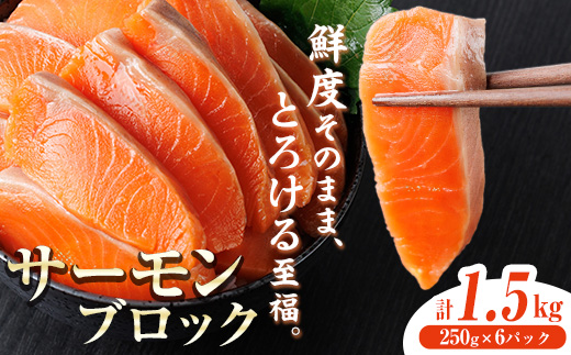 生食用 サーモン ブロック(計1.5kg・250g×6P) 鮭 小分け 真空 パック 冷凍 刺身 シャケ サケ 魚 魚介 【AW-101】【丸正水産】