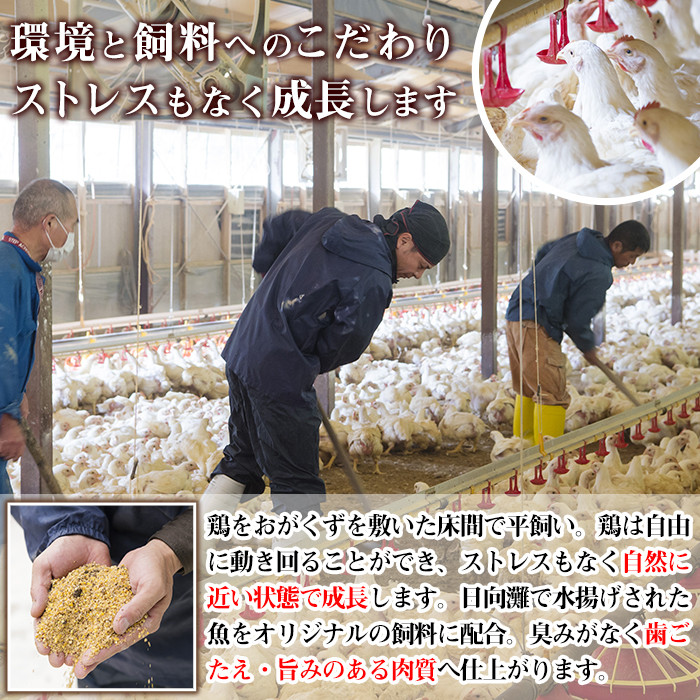 宮崎県産ブランド鶏「夢創鶏」小肉(せせり)(計1.6kg・200g×8P)鶏肉 肉 国産 小分け 冷凍 便利 宮崎県 門川町【C-8】【株式会社 英楽】