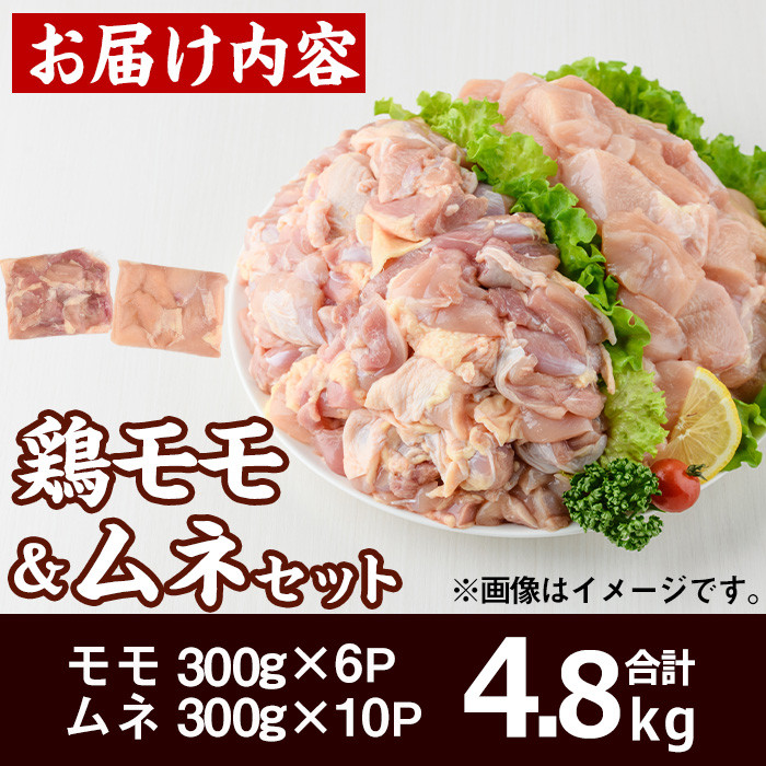 宮崎県産 鶏 もも むね セット (合計4.8kg) 鶏肉 鳥肉 とり肉 お肉 切り身 カット済 唐揚げ からあげ 冷凍 小分け 国産【MF-64】【エムファーム】