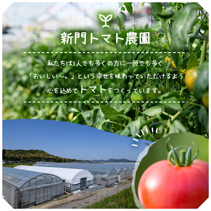 ひなたのとまと(1.1kg)トマト フルーツトマト 糖度 9度 以上 野菜 旬野菜 冷蔵 国産 宮崎県産【A-4】【新門トマト農園】