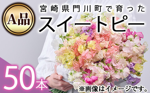 ＜A品＞スイートピーミックス(50本)花 フラワー 切り花 植物 ギフト 贈り物 プレゼント インテリア 常温 保存 宮崎県 門川町【AL-3】【安田農園】