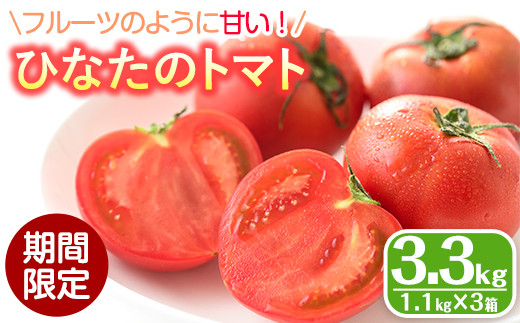 ＜先行予約受付中！2026年2月から順次発送予定＞ひなたのとまと(計3.3kg・1.1kg×3箱)トマト フルーツトマト 糖度 9度 以上 野菜 旬野菜 冷蔵 門川町産【A-5】【新門トマト農園】