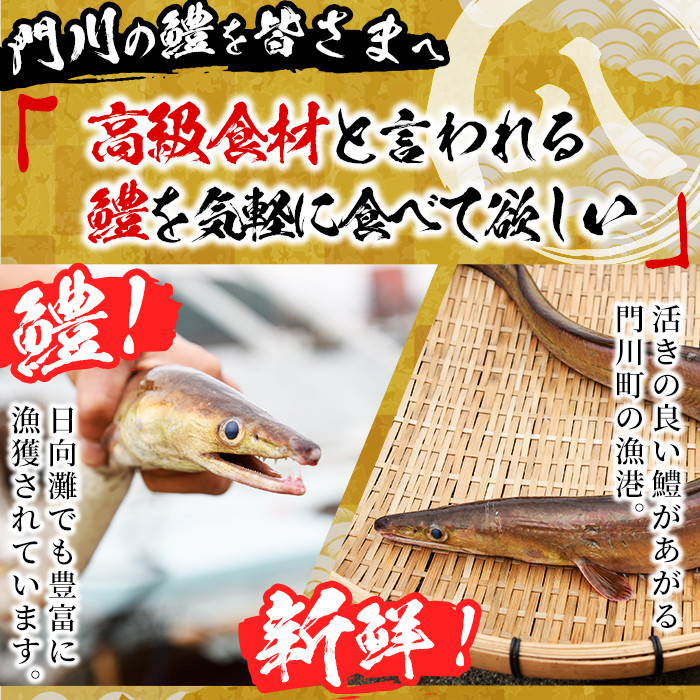 門川金鱧(計1.5kg)骨切り済 ハモ 小分け 冷凍 魚介類 鍋 丼 国産 宮崎県 門川町【O-1】【門川漁業協同組合】