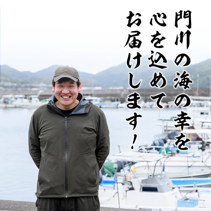 岩田水産の「訳あり干物セット」(合計3.2kg以上・5種以上)ひもの 簡単 調理 冷凍 魚 海鮮 あじ ちりめん さば さごし かます めひかり いりこ 詰め合わせ 個包装 小分け 宮崎県 門川町【AS-2】【岩田水産】