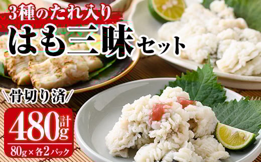 鱧三昧セット(合計480g・3種×各2P)はも ハモ 湯引き タタキ たたき 骨切り 海鮮 おつまみ 梅肉 酢みそ 酢味噌 タレ たれ 国産 小分け 冷凍 魚介 食べ比べ 詰め合わせ 詰合せ 宮崎県産【MR-6】【マルユウ水産】