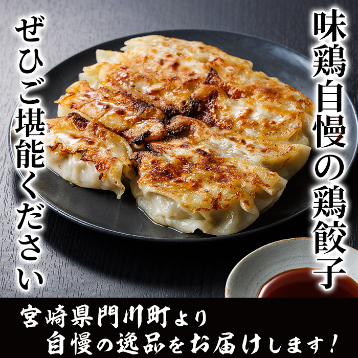 鶏の本場の老舗鶏屋が作る味鶏の餃子セット (計120個・1Pあたり12個入・柚子胡椒30g付き！) 鶏餃子 餃子 鶏肉 ぎょうざ おかず お惣菜 おつまみ 冷凍【V-72】【味鶏フーズ】
