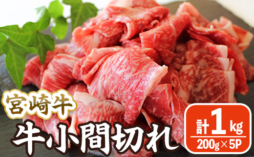 宮崎牛 小間切れ (計1kg・200g×5) 牛肉 精肉 お肉 黒毛和牛 ブランド和牛 切り落とし こま肉お取り寄せ 冷凍 国産 宮崎県 【MA-11】【株式会社マルミヤストア】