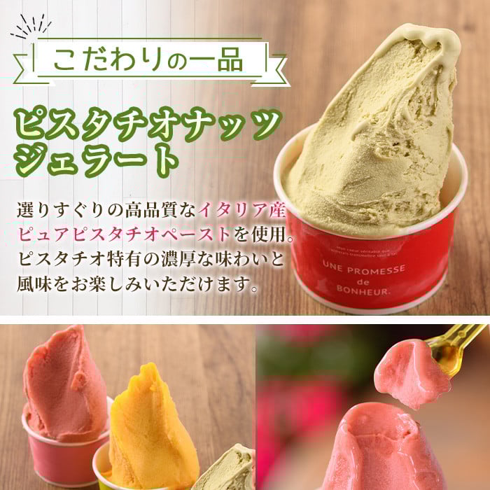 ãI-2ãïŒå
è¡äºçŽåä»äžïŒ2026幎2æããé æ¬¡çºéäºå®ïŒèªå®¶è£œãã ãã補æ³ïŒèªå®¶è£œãžã§ã©ãŒã(9å)ãããã«ã»ãã©ã¹ã