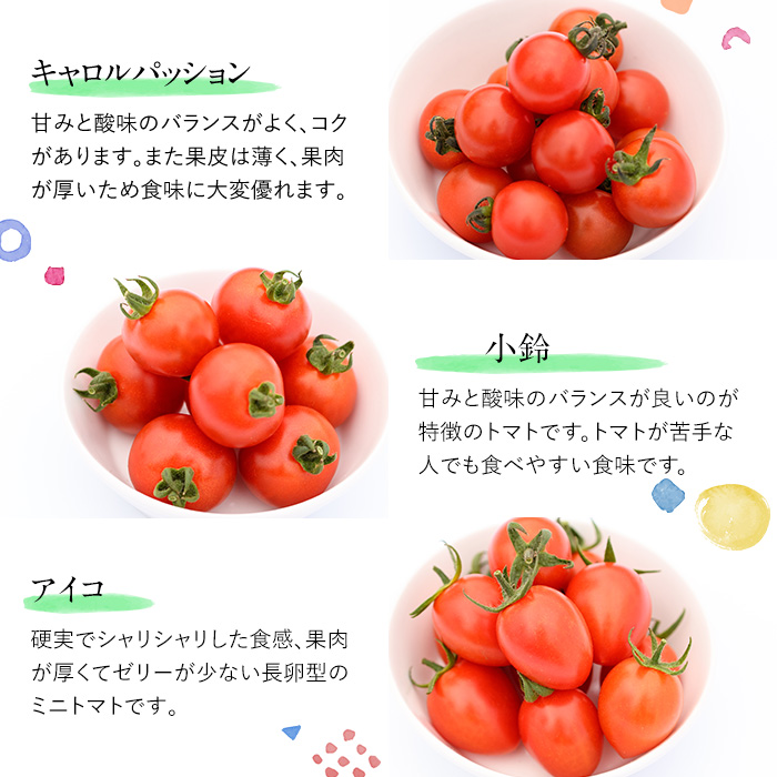 訳あり 規格外 数量限定 門川町産 ミニトマト(計2kg)  訳あり 規格外 数量限定 門川町産 ミニトマト 期間限定 生活応援 とまと 野菜 ミックス 生 旬野菜 冷蔵 【X-9】【いけとも農園】