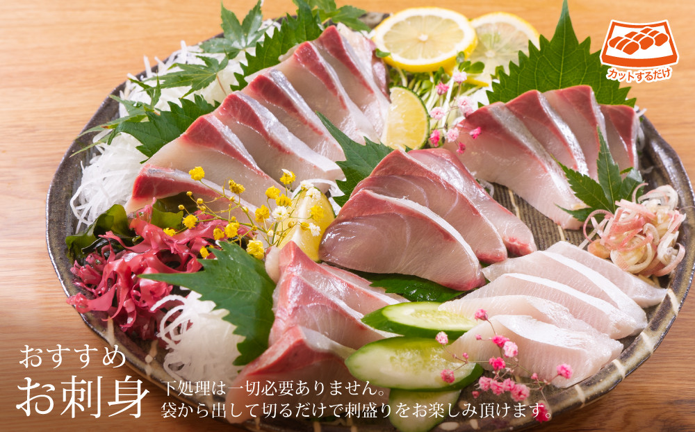 【北海道・離島配送不可】日向灘ぶりのお刺身(約400〜550g)魚介 魚 旬 海鮮 ブリ 鰤 ぶり柵 刺身 しゃぶしゃぶ 冷蔵 宮崎県 門川町【UZ-03】【請関水産】