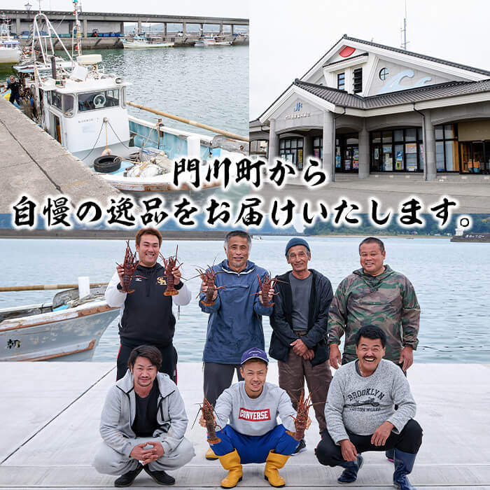 ＜数量限定・期間限定＞天然！門川町産活き伊勢海老(計1kg・約2〜3尾)エビ えび 刺身 魚介 海鮮 朝獲れ 国産【O-4】【門川漁業協同組合】