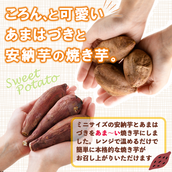 ＜先行予約受付中！2026年10月から順次発送予定＞おやつ芋 あまはづき 安納芋 冷凍 焼き芋 (計30個・3個入り×各5袋) 焼芋 やきいも さつまいも さつま芋 レンジ あまはづき 安納芋 小分け おやつ 【YO-28】【株式会社陽】