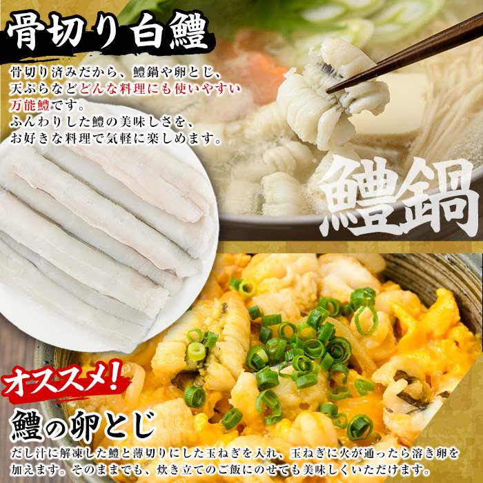 鱧づくしセット(骨切り白鱧×400g、鱧フライ×250g、鱧一夜干し×150g) はも ハモ 骨切り 唐揚げ 海鮮 魚介 おつまみ 惣菜 簡単 お手軽 冷凍 食べ比べ 詰め合わせ 詰合せ 国産 宮崎県産 【O-9】【門川漁業協同組合】