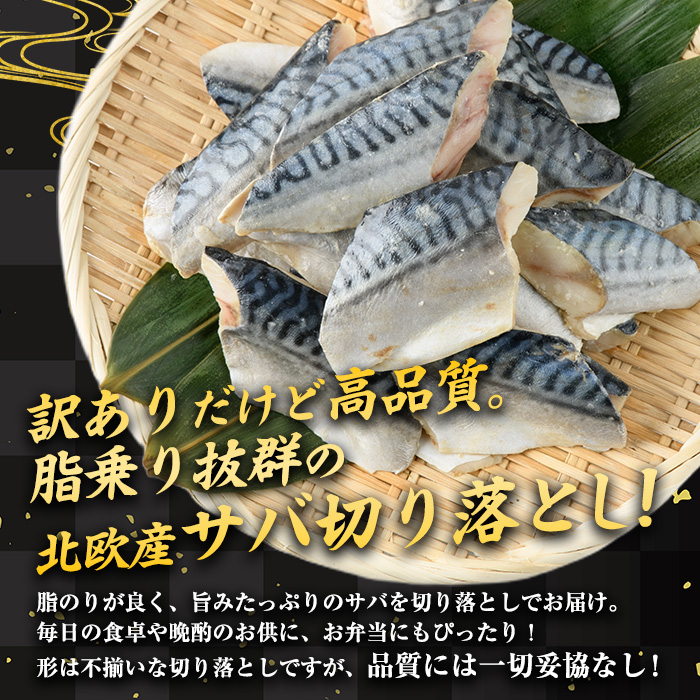 ïŒèš³ããïŒ çå¡© 骚åããã°åãèœãšã (1kgã»500gÃ2) çå¡© å°åã åã身 é¯ ã㰠骚ãªã 骚åãæž ã«ããæž å¡©çŒã ç°¡å ãã©ã€ é æµ·é®® å·å ãåŒåœ ããã ãKI-23ããã€ããã«é£åå å·¥ã